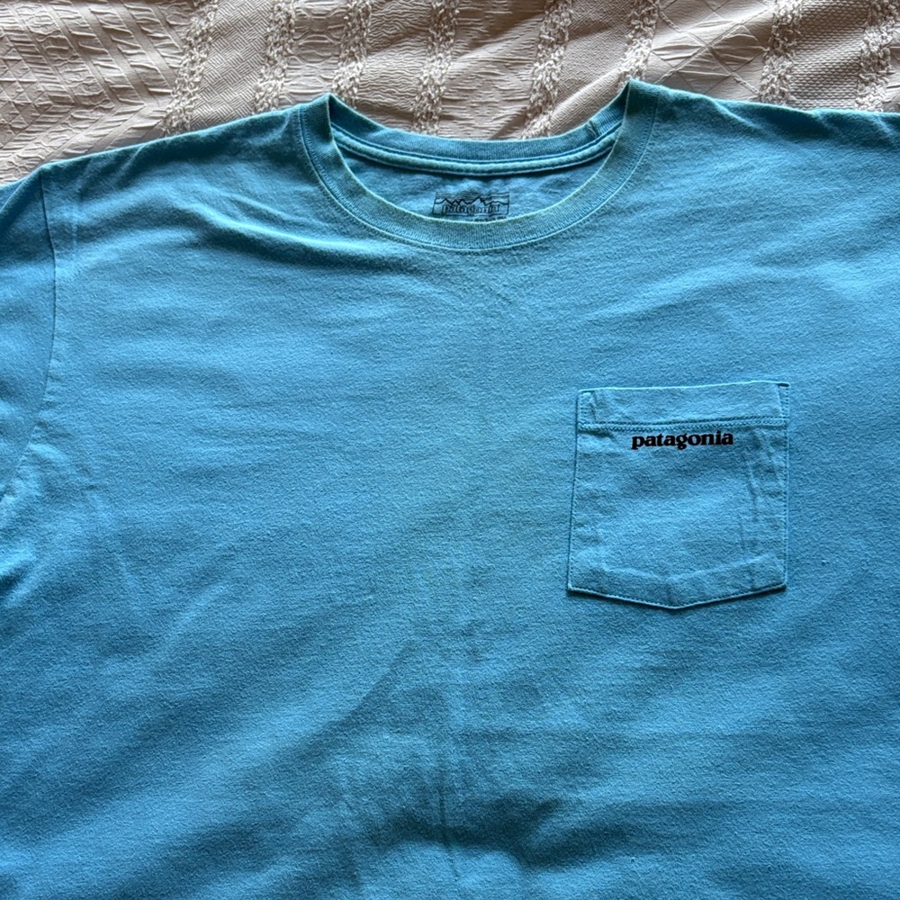 Patagonia Men's Pocket Tee in Sky Blue